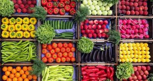 پنج ماهه امسال ۱.۵ میلیارد دلاری محصولات کشاورزی صادر شده است