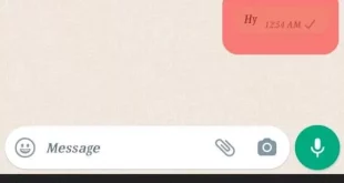 از کجا بفهمیم طرف واتساپ رو پاک کرده؟ ترفندهای کاربران حرفه ای