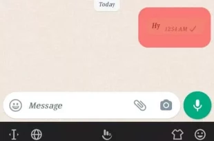 از کجا بفهمیم طرف واتساپ رو پاک کرده؟ ترفندهای کاربران حرفه ای