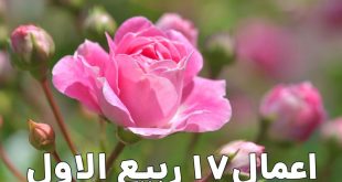 اعمال شب و روز هفدهم ربیع الاول