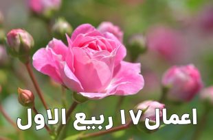 اعمال شب و روز هفدهم ربیع الاول