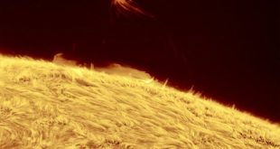 برجستگی مثلثی