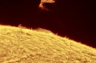 برجستگی مثلثی