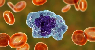 سلول ماکروفاژ