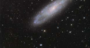 NGC 247 به همراه کهکشان مارپیچی براق NGC 253، بخشی از گروه کهکشان‌های مجسمه‌ساز است.