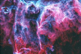 NGC 6995، که به‌طور غیر رسمی به‌عنوان سحابی خفاش شناخته می‌شود، تنها 1/2 درجه، تقریباً به اندازه ظاهری ماه، گستره دارد.