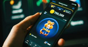 همستر کامبت اعلام کرد؛ کدام صرافی‌ها توکن HMSTER را لیست می‌کنند؟