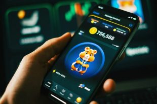 همستر کامبت اعلام کرد؛ کدام صرافی‌ها توکن HMSTER را لیست می‌کنند؟