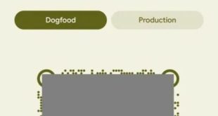 گوگل ظاهراً نام اپ Switch to Android را به Android Switch تغییر می‌دهد