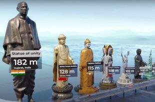 این انیمیشن سه بعدی مقیاس و ارتفاع بلندترین مجسمه های جهان را نشان می دهد