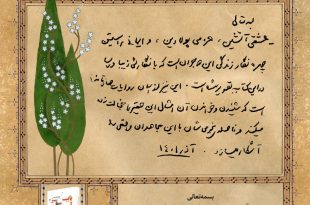 IMG_20241020_215416_158