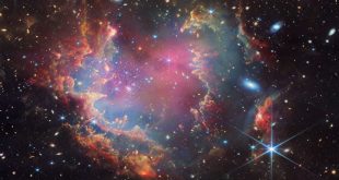 خوشه ستاره‌ای صدف، محل اولین جمعیت کوتوله قهوه‌ای احتمالی خارج از کهکشان راه شیری