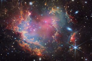 خوشه ستاره‌ای صدف، محل اولین جمعیت کوتوله قهوه‌ای احتمالی خارج از کهکشان راه شیری