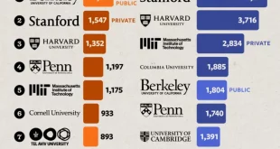 فارغ التحصیلان کدام دانشگاه ها بیشتر موسس استارت آپ ها شده اند؟ نمودار