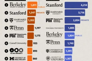 فارغ التحصیلان کدام دانشگاه ها بیشتر موسس استارت آپ ها شده اند؟ نمودار