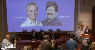 نوبل پزشکی امسال به ۲ دانشمند آمریکایی رسید