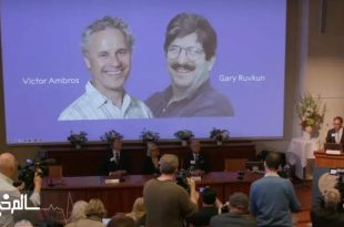 نوبل پزشکی امسال به ۲ دانشمند آمریکایی رسید