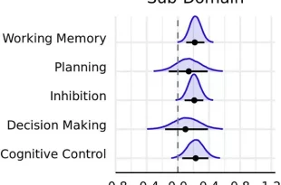 تأثیر ورزش و مغز