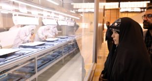 اشتغال‌آفرینی برای بانوان