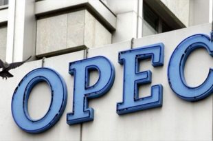 کاهش عرضه یا ریزش قیمت نفت در انتظار تصمیمات اوپک