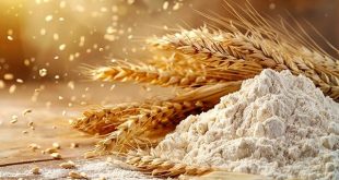 قدردانی ستاد هماهنگی امنیت غذایی کشور از عملکرد بانک کشاورزی