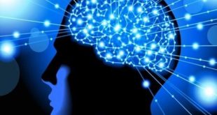 بزرگترین رویداد علمی کشور در حوزه علوم اعصاب برگزار می شود