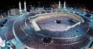 رئیس سازمان حج از افزایش عمره‌گزاران ایرانی تا ۴۰۰ هزار نفر خبر داد