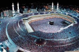 رئیس سازمان حج از افزایش عمره‌گزاران ایرانی تا ۴۰۰ هزار نفر خبر داد