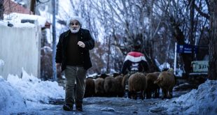 فیلم «چشم بادومی» برای حضور در جشنواره فجر آماده می‌شود