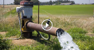 پرمصرفی و بد مصرفی تهدید جدی کشاورزی/ کف شکنی سالانه ۸۵۰۰ چاه - خبرگزاری ورزش ایران