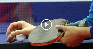 بازگشت حریفان تمرینیِ کره‌ای به تنیس روی میز ایران - خبرگزاری ورزش ایران