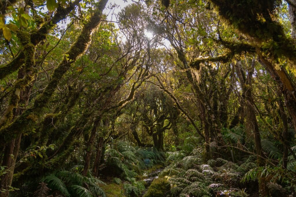 تصاویر دلنشین مسابقه اینستاگرامی نشنال جئوگرافیک را ببینید + گالری_دلچسب 26 تصاویر کمپین جدید نشنال جئوگرافیک