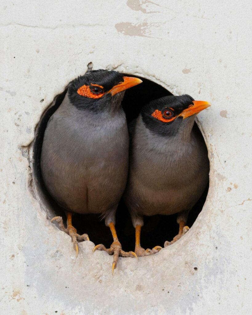 تصاویر دلنشین مسابقه اینستاگرامی نشنال جئوگرافیک را ببینید + گالری_دلچسب 33 تصاویر کمپین جدید نشنال جئوگرافیک