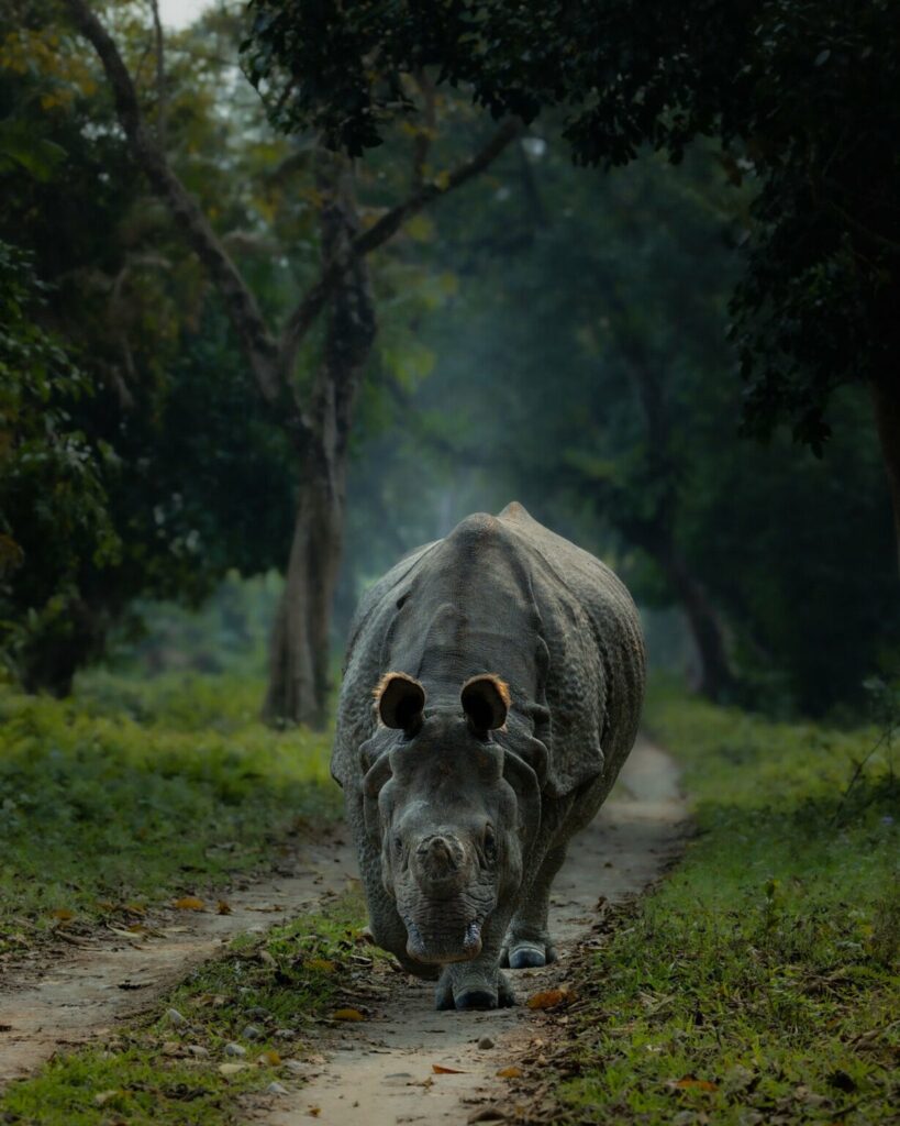 تصاویر دلنشین مسابقه اینستاگرامی نشنال جئوگرافیک را ببینید + گالری_دلچسب 32 تصاویر کمپین جدید نشنال جئوگرافیک