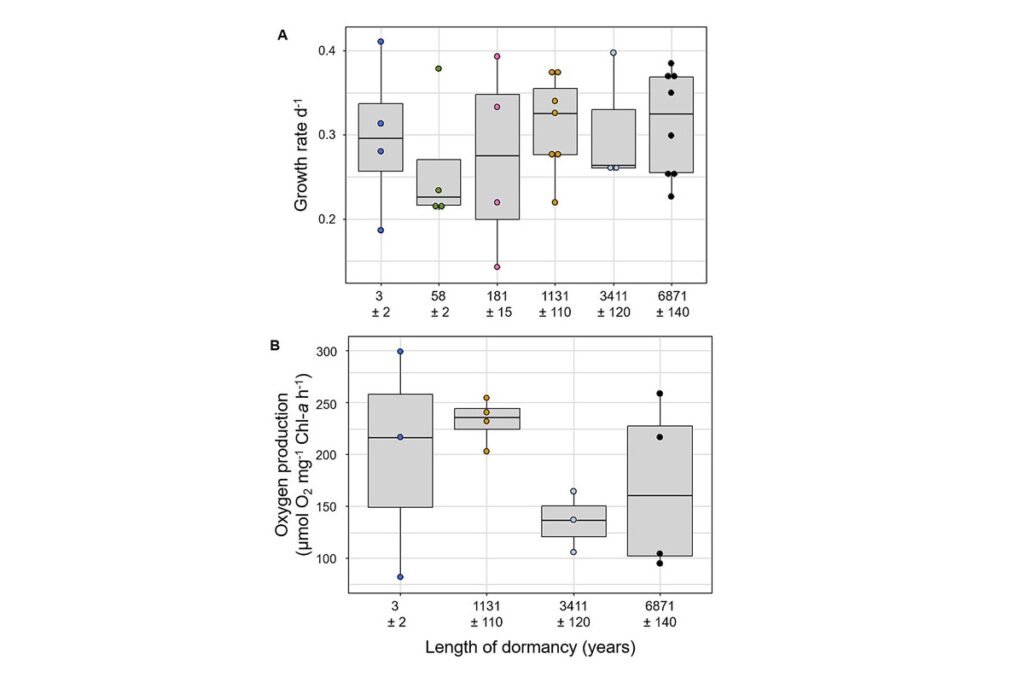  احیای جلبک‌ها