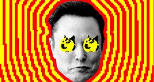 هشدار دموکرات‌ها درباره ساخت پایگاه داده حساس توسط DOGE