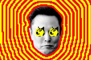 هشدار دموکرات‌ها درباره ساخت پایگاه داده حساس توسط DOGE