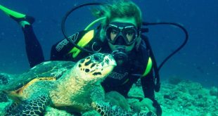 تفریحات سواحل مالدیو که نباید از دست داد