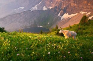 تصاویر کمپین جدید نشنال جئوگرافیک