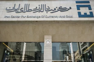 تکمیل طرح های تولید پلی اتیلن۶۶۰ میلیون یورو درآمد ارزی نصیب کشور می کند