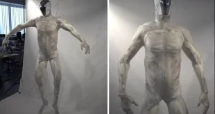 حرکات عجیب این ربات را با 1000 عضله مشابه انسان ببینید + ویدیو