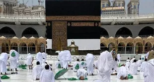 رئیس سازمان حج و زیارت از اعزام دستیار خانم در کاروان‌های حج تمتع ۱۴۰۴ خبر داد