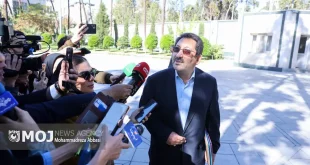 وقفه‌ای در واردات خودرو نداریم