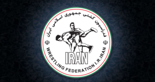 کمتر از چهار میلیون تومان برای یک سال ورزش کشور!