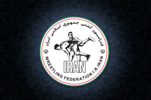 کمتر از چهار میلیون تومان برای یک سال ورزش کشور!