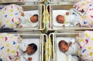 ۷۷ درصد از زوجین ایرانی بچه نمی‌خواهند