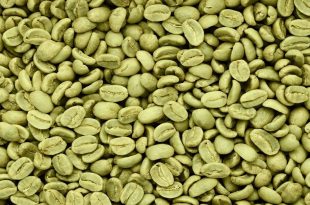 قهوه سبز یا قهوه رُست‌شده؟ راهنمای خرید عمده قهوه برای انتخابی هوشمندانه