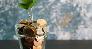 عرضه ۲۰ همت اوراق توسعه فناوری از تیرماه آغاز می‌شود