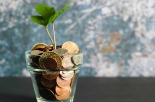 عرضه ۲۰ همت اوراق توسعه فناوری از تیرماه آغاز می‌شود