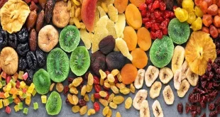 ایران، عربستان و امارات مشتری محصولات حلال روسیه شدند